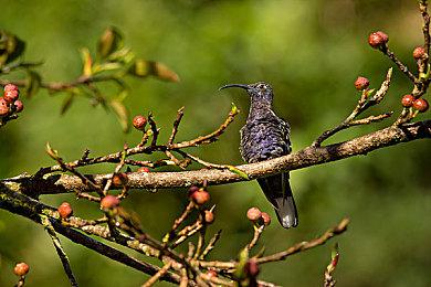 Steam克苏鲁主题周开启 年度最佳治愈系恐怖游戏仅售12美元